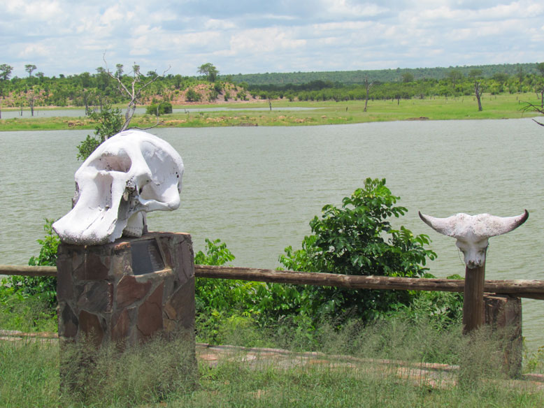 Sinamatella camp PN Hwange